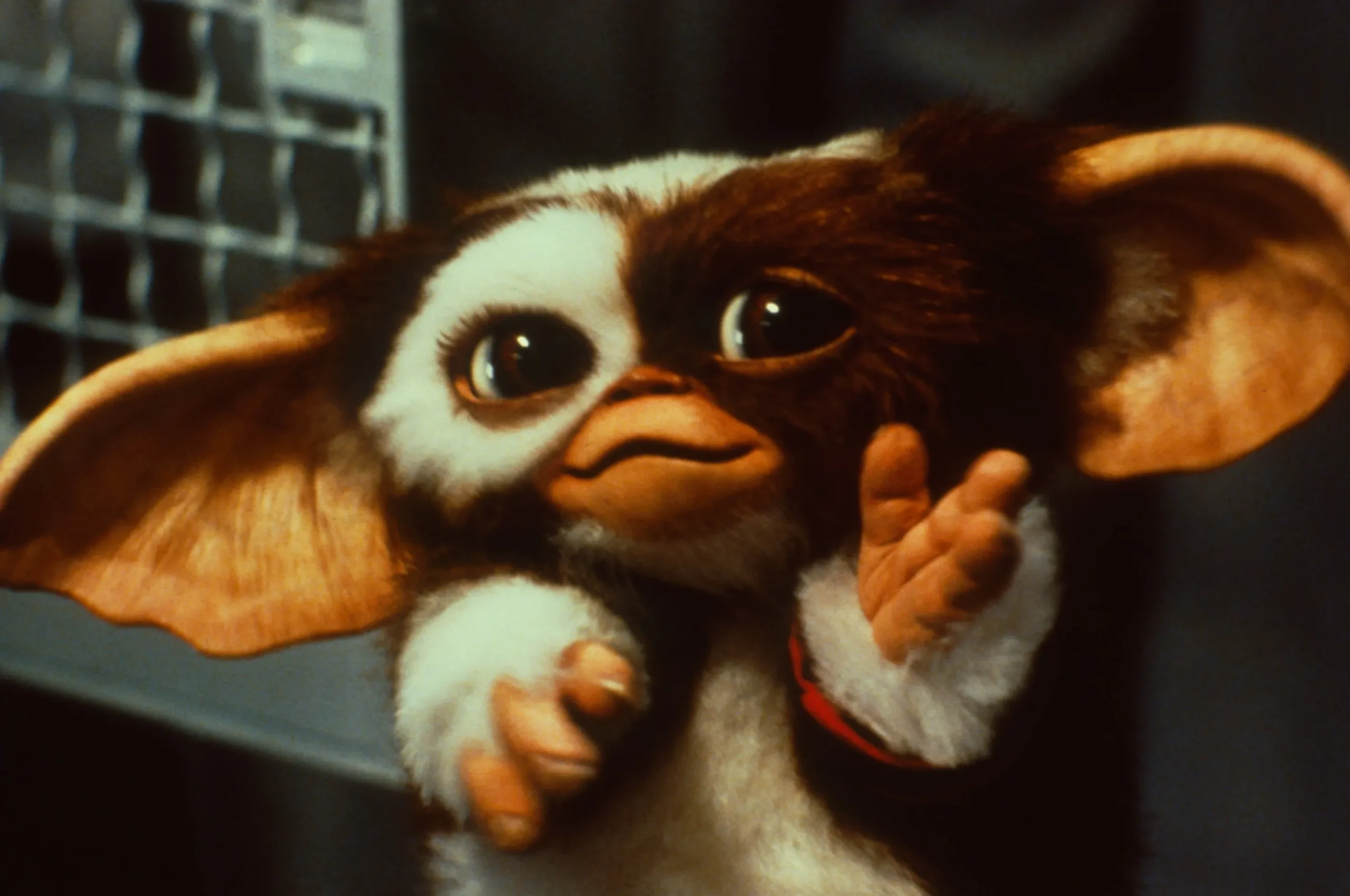 Mogwai Gizmo