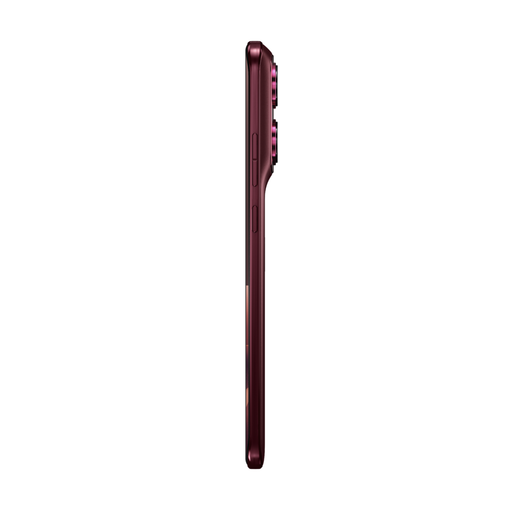 PANTONE Zinfandel